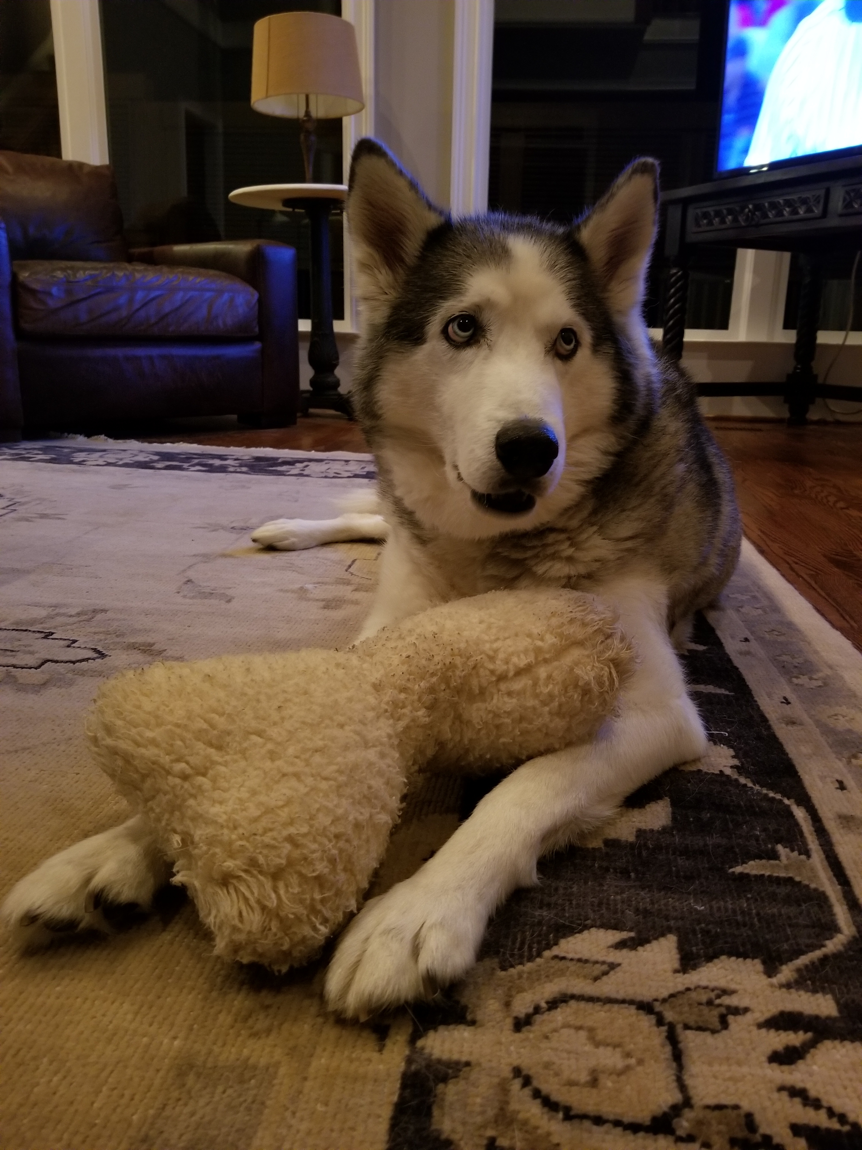 Hunter and his favorite toy