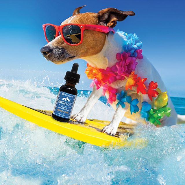 Keep cool this July 4, get 20% off all our products right now! - CBD Unlimited