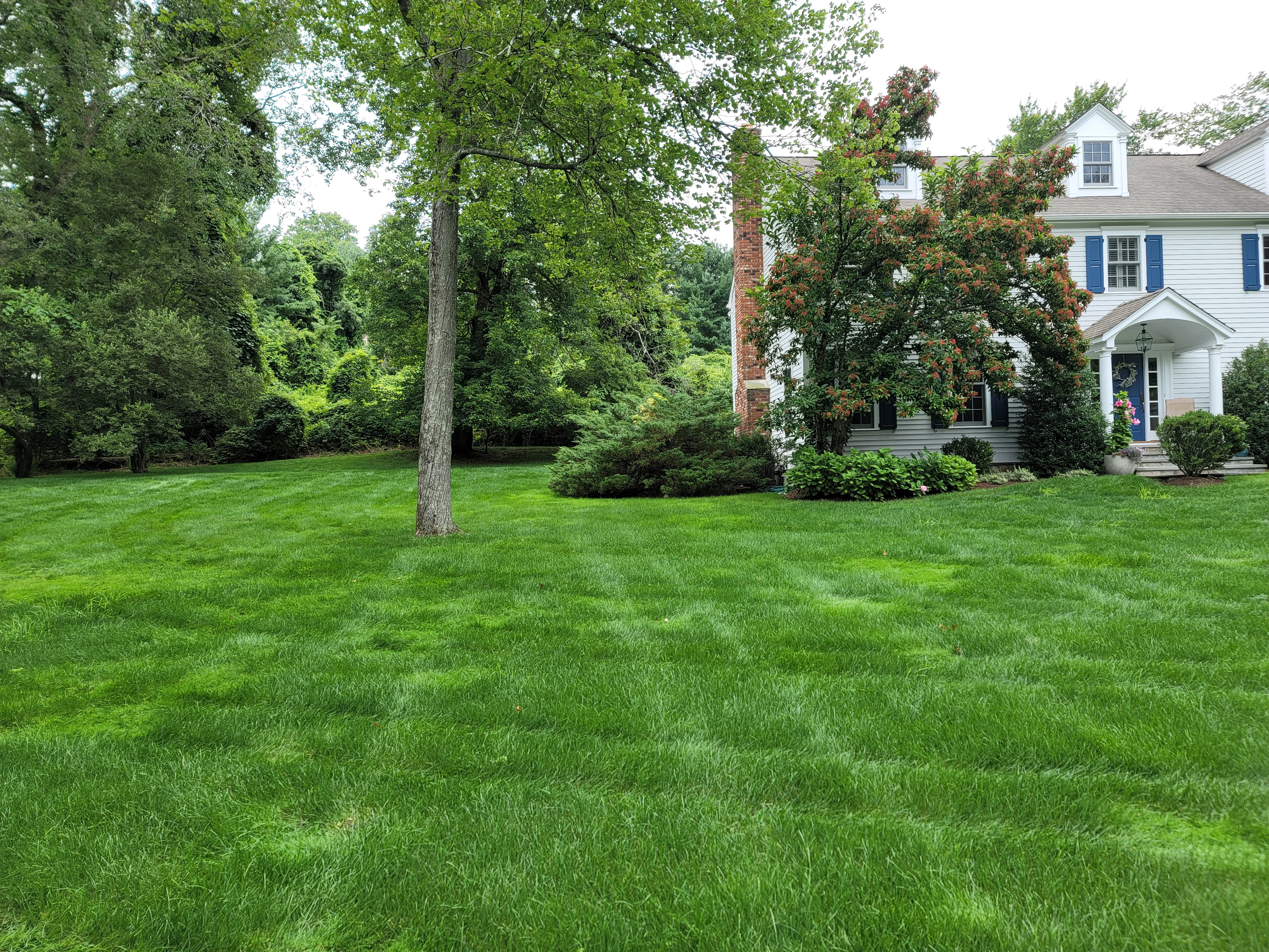 Lawn Solutions 203-424-1164