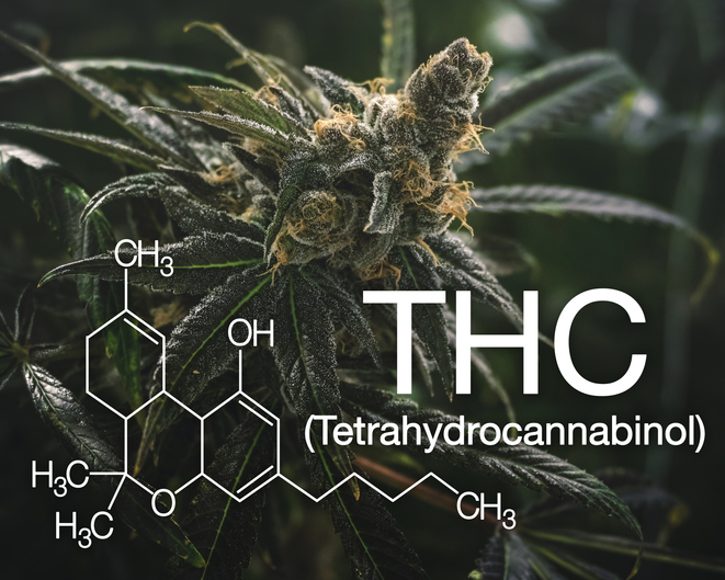 Purchase Premium Delta 8 THC Products Online from Delta 8