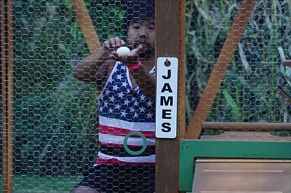 'Big Brother 18' Spoilers: Was the Power of Veto Used at the Final 6?