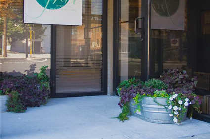 Welcome to TRU Integrative Health | Counseling, Therapy, & Holistic Wellness