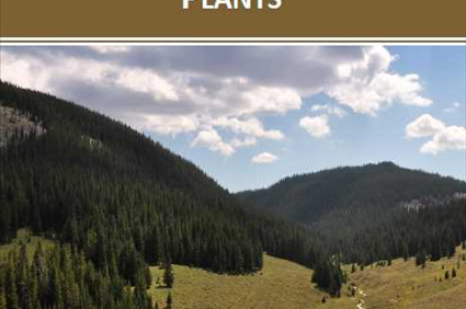 The Warming-Induced Evolution of Terrestrial Plants | Originals