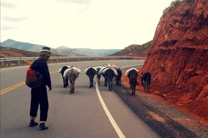 Inca High Andes Expedition Motorcycle Tour