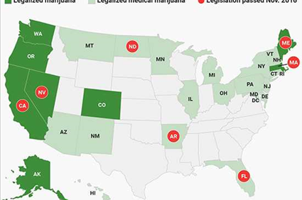 Legalized Marijuana Passed in More States
