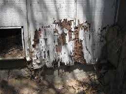 Use Bingham’s Professional Pest Management to Eliminate Termites in Orlando, Florida - Bingham's Professional Pest Management
