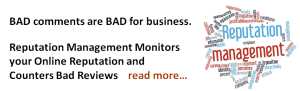 Online Reputation Management - Web Marketingville