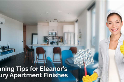 Cleaning Tips for Eleanor's Luxury Apartment Finishes in Seattle WA