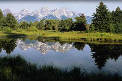 Travel Nurse Jobs North Carolina