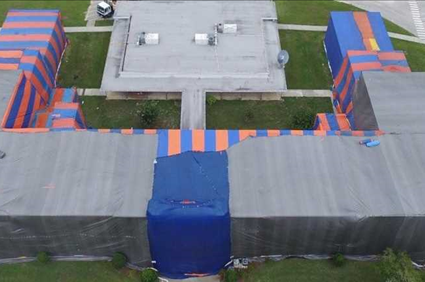 Fumigation Pest Control Services St. Petersburg Florida