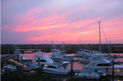 Mount Pleasant Real Estate - Find Your Perfect Home For Sale!