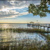 Deep Water Docks of Charleston