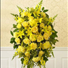 ALL YELLOW STANDING SPRAY