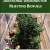 Long-Term Open-Top-Chamber Study of Sour Orange Trees