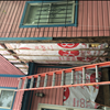 Structual Repairs and Additions Wylly Island
