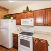 Condo in Caryville, Tennessee, 113 Evergreen Circle Pine 1