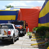 Bingham Professional Pest Management