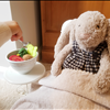 Bunny eating her own get well soup