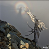 Brocken Spectre on Mt Rainier 