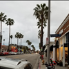 Abbott Kinney Venice Beach 