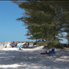 727-897-5944 Rolf Johnson Owned Bank Foreclosure St Pete REO homes for sale