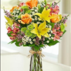A SPRING GARDEN DELIGHT