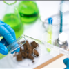NorCal GCX Marketplace Exchange For Cannabis Extraction Labs For Sellers 415-475-9180