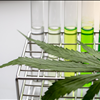 NorCal GCX Marketplace Exchange No Brokers Cannabis Extraction Labs 415-475-9180