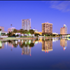 Tampa Bay Pest Control From Binghams Professional Pest Management call 727-323-8866