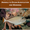 RESPONSE OF VARIOUS MARINE ANIMALS TO OCEAN ACIDIFICATION AND WARMING