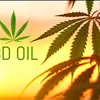 Best CBD Hemp Oil Full Spectrum For Sale Palmetto Harmony 843-331-1246