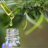 Work With The Best Custom Supplement Formulation Manufacturer NutraCap Labs 800-688-5956