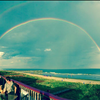 Best Restaurant on Isle of Palms South Carolina Coconut Joe's Beach Grill & Bar