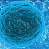 AXIM AXIM&#174; Biotechnologies Unveils First–in-Class COVID-19 Rapid Diagnostic Test 