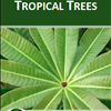 Tropical Trees