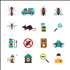 Get Professional Pest Management In Tampa By Calling Binghams Pest Control In At 727-323-8866