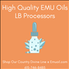 Featured Findit Member LB Processors Increase Online Presence 404-443-3224