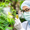 Hemp Extraction Lab Marketplace No Brokers NorCal GCX 415-475-9180