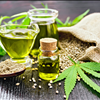 Professional Industrial Hemp Drying Facility Tennessee LB Processors 615-746-8485