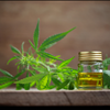 Professional Hemp CBD Extraction Facility Tennessee LB Processors 615-746-8485