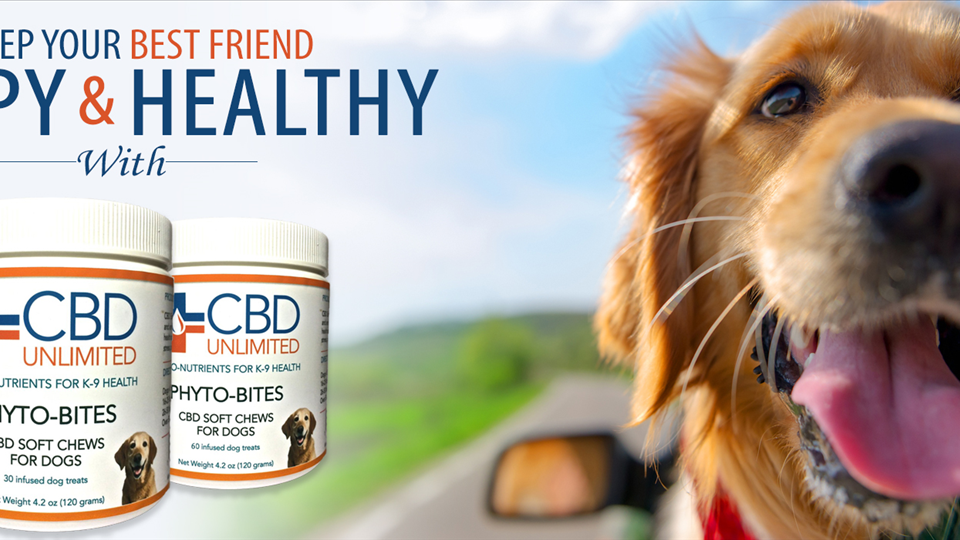 Anxiety relief for dogs from Phyto-Bites industrial hemp ...