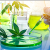 Hemp Extraction Lab Marketplace No Agents NorCal GCX 415-475-9180