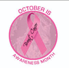 Benefit Dr Susan Love Foundation with Pink Charitable Bracelets From Chavez For Charity 973-337-8551