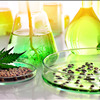 Hemp Extraction Lab Marketplace NorCal GCX No Brokers 415-475-9180