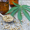 Shop Palmetto Harmony CBD Hemp Oil Full Spectrum For Sale 843-331-1246