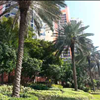 Dania Beach