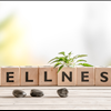 Start Your Own Magazine Franchise with Natural Awakenings And Work From Home Call 239-434-9513