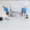 NorCal GCX Marketplace Exchange For Cannabis Extraction Labs 415-475-9180