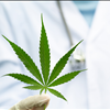Get Medical Marijuana Card Iowa Dr Mary Clifton 917-297-7439