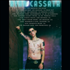 Ryan Cassata